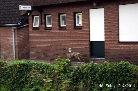 Henry-Wallinga©-Haagjesgracht-Wanneperveen-06