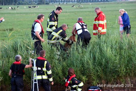 Henry-Wallinga©-Hasselterweg-Rouveen-08