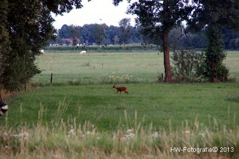 Henry-Wallinga©-Hasselterweg-Rouveen-11