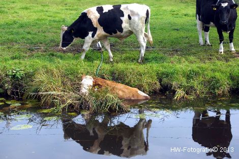 Henry-Wallinga©-Rechterensweg-Rouveen-01