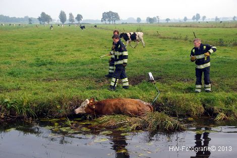 Henry-Wallinga©-Rechterensweg-Rouveen-03