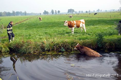 Henry-Wallinga©-Rechterensweg-Rouveen-04