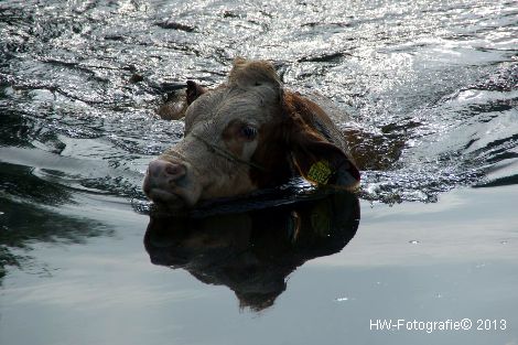 Henry-Wallinga©-Rechterensweg-Rouveen-05