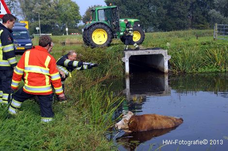 Henry-Wallinga©-Rechterensweg-Rouveen-06