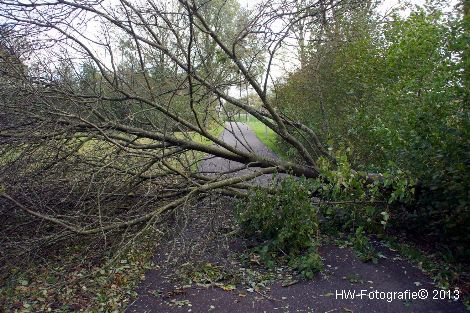 Henry-Wallinga©-Zuidwesterstorm-Zwartewaterland-11