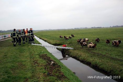 Henry-Wallinga©-Schaap-NieuweWeg-01