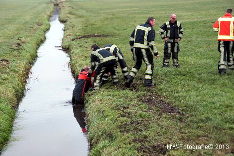 Henry-Wallinga©-Schaap-NieuweWeg-06