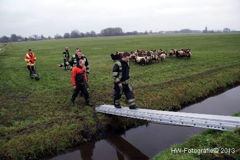 Henry-Wallinga©-Schaap-NieuweWeg-07