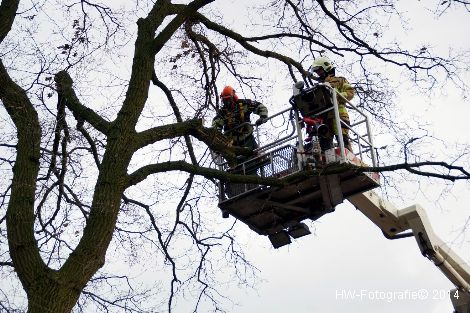 Henry-Wallinga©-Enkpoortveste-Hasselt-08