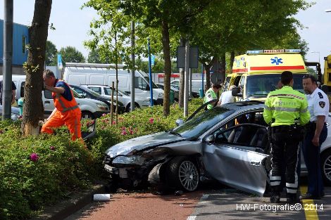 Henry-Wallinga©-Achthoevenweg-Staphorst-08