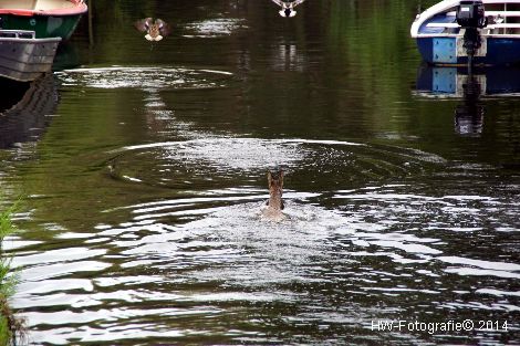 Henry-Wallinga©-Haagjesgracht-Wanneperveen-01