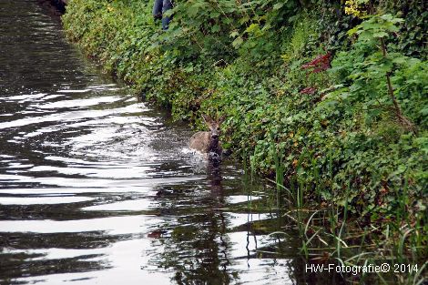 Henry-Wallinga©-Haagjesgracht-Wanneperveen-02