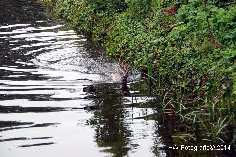 Henry-Wallinga©-Haagjesgracht-Wanneperveen-03