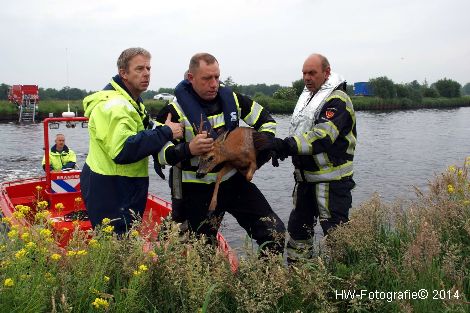 Henry-Wallinga©-Meppelerdiep-Zwartsluis-10