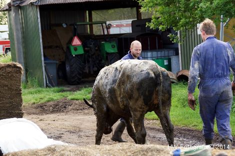 Henry-Wallinga©-Steenwetering-Zwolle-12