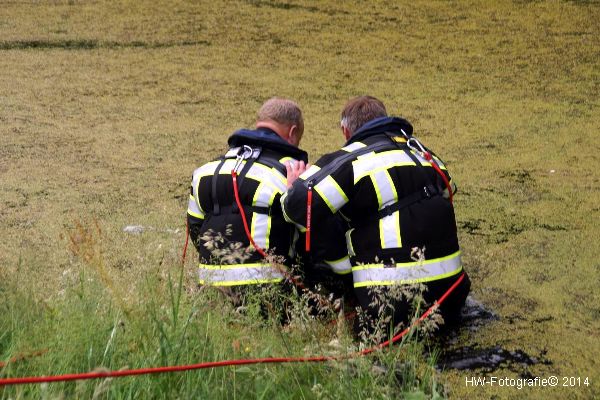 Henry-Wallinga©-BRWoef-Vrijsselland-04