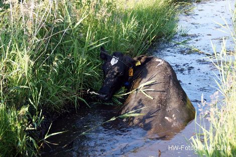 Henry-Wallinga©-DeVeenen-Zwartsluis-02