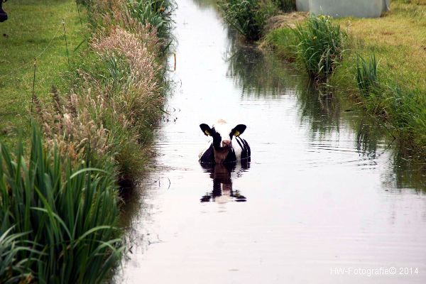 Henry-Wallinga©-Kerkwetering-Mastenbroek-01