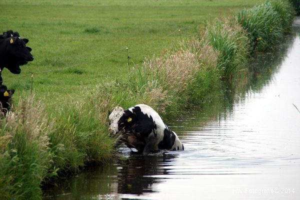 Henry-Wallinga©-Kerkwetering-Mastenbroek-03