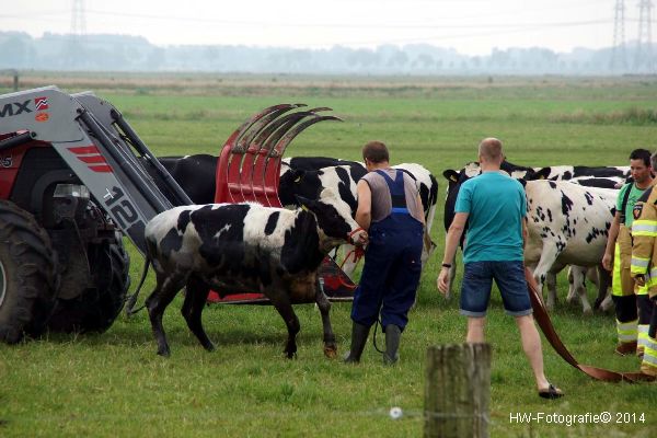 Henry-Wallinga©-Kerkwetering-Mastenbroek-10