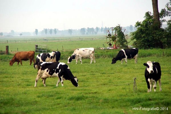 Henry-Wallinga©-Steenwetering-Zwolle-07