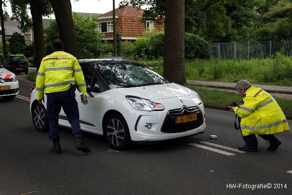 Henry-Wallinga©-Werkhorst-Meppel-10