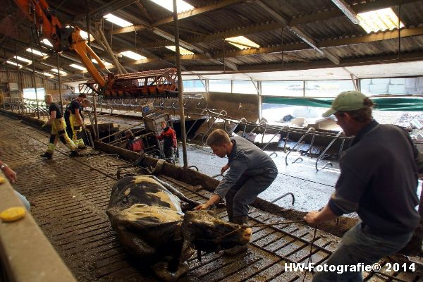 Henry-Wallinga©-Boerderijweg-Hasselt-01