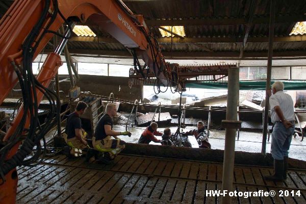 Henry-Wallinga©-Boerderijweg-Hasselt-09