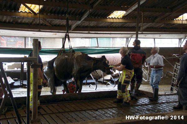 Henry-Wallinga©-Boerderijweg-Hasselt-10