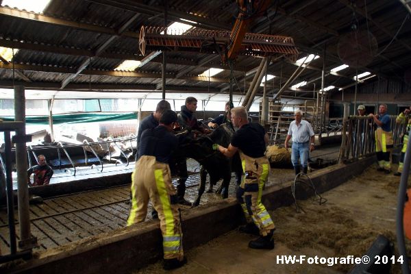 Henry-Wallinga©-Boerderijweg-Hasselt-11