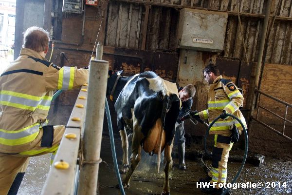 Henry-Wallinga©-Boerderijweg-Hasselt-12