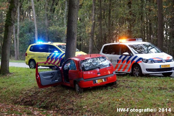 Henry-Wallinga©-Poppenallee-boom-Dalfsen-02