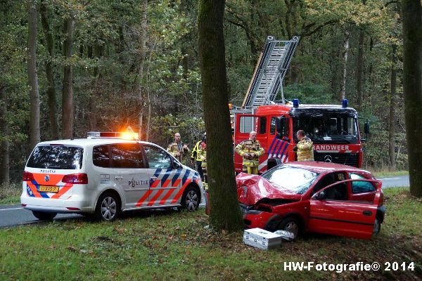 Henry-Wallinga©-Poppenallee-boom-Dalfsen-04