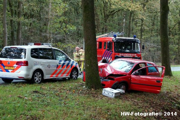 Henry-Wallinga©-Poppenallee-boom-Dalfsen-05