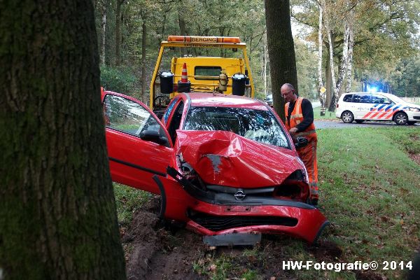 Henry-Wallinga©-Poppenallee-boom-Dalfsen-10