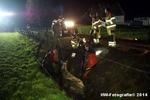 Henry-Wallinga©-Paard-Sloot-Hasselt-03