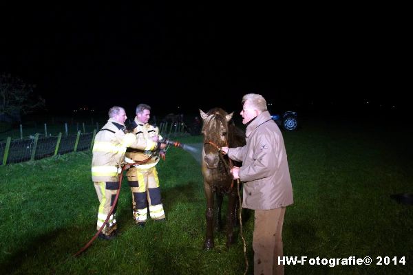 Henry-Wallinga©-Paard-Sloot-Hasselt-04