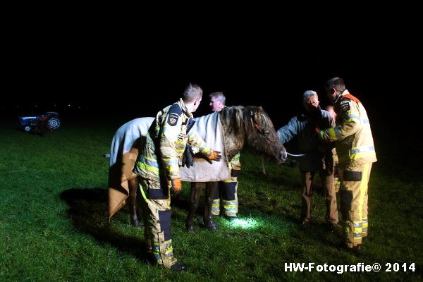 Henry-Wallinga©-Paard-Sloot-Hasselt-05