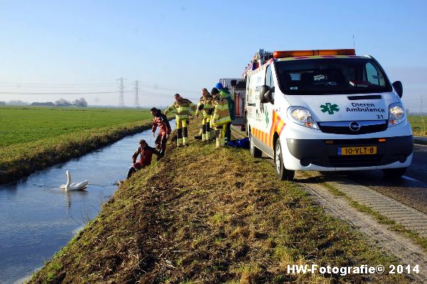 Henry-Wallinga©-Zwaan-ijs-Mastenbroek-02