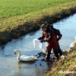 Henry-Wallinga©-Zwaan-ijs-Mastenbroek-04