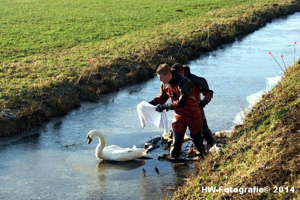 Henry-Wallinga©-Zwaan-ijs-Mastenbroek-04