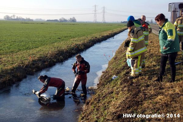 Henry-Wallinga©-Zwaan-ijs-Mastenbroek-06