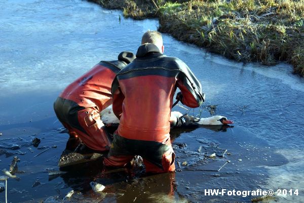 Henry-Wallinga©-Zwaan-ijs-Mastenbroek-08