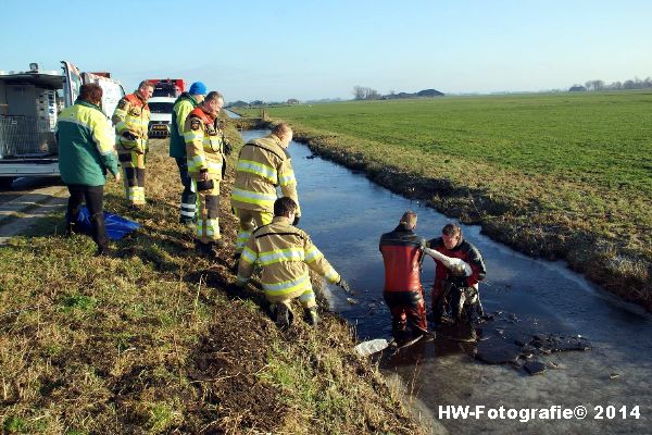 Henry-Wallinga©-Zwaan-ijs-Mastenbroek-10