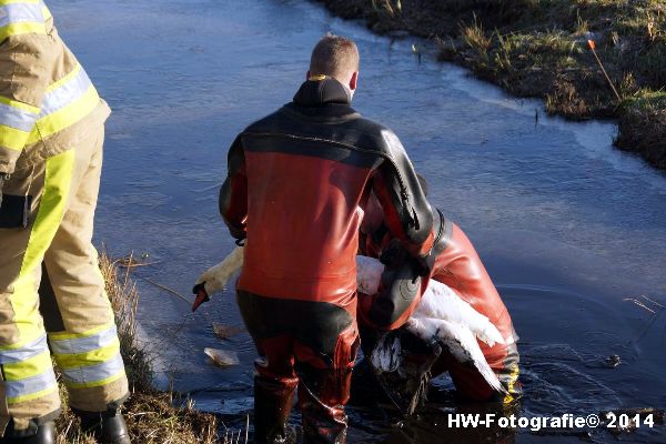 Henry-Wallinga©-Zwaan-ijs-Mastenbroek-11