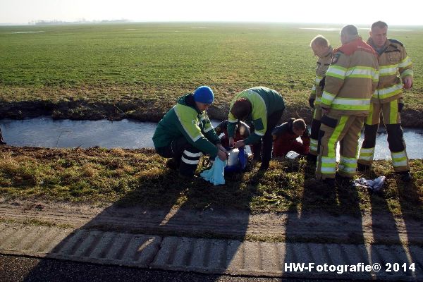 Henry-Wallinga©-Zwaan-ijs-Mastenbroek-13