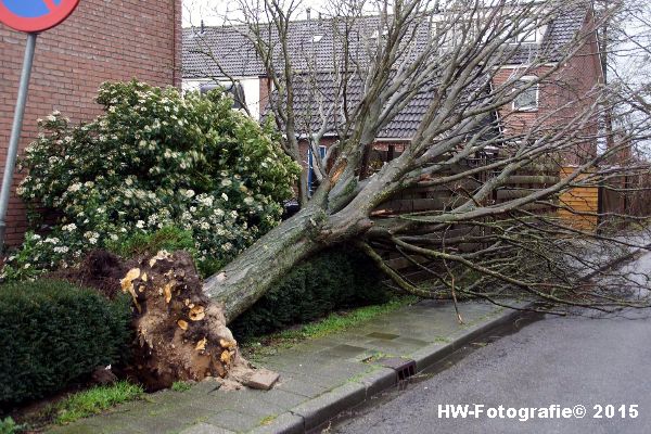 Henry-Wallinga©-Boom-Stormschade-Hasselt-01