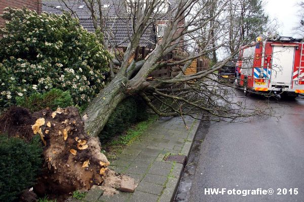 Henry-Wallinga©-Boom-Stormschade-Hasselt-03