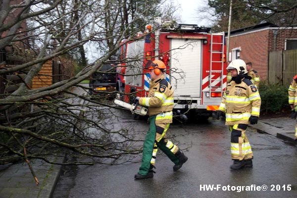 Henry-Wallinga©-Boom-Stormschade-Hasselt-04