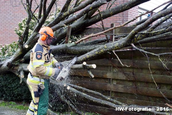 Henry-Wallinga©-Boom-Stormschade-Hasselt-05